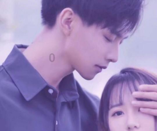 萌即正义，收容所里的猫咪被招募为警员，走马上任成为当地明星猫